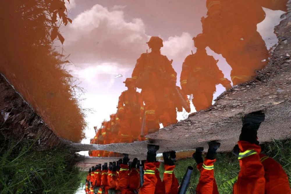 福建省森林消防总队守护绿水青山主题书画摄影展评