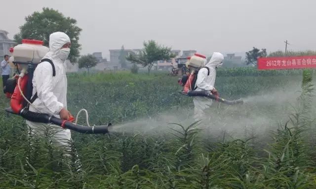 火腿|那些隐藏在饭桌上的“毒物”，你都知道吗？