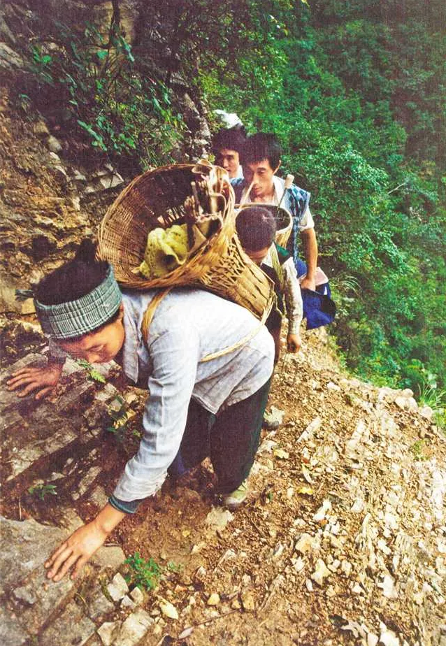 通过vcr再现了毛相林绝壁凿路的事迹,当看到大屏幕上毛相林不惧艰难