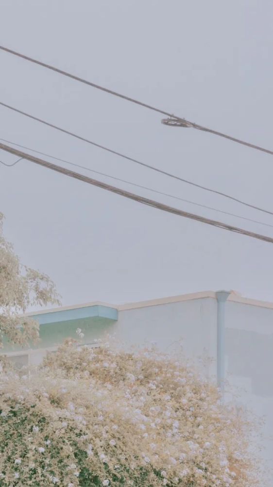 高清壁纸 来日皆可期 腾讯新闻