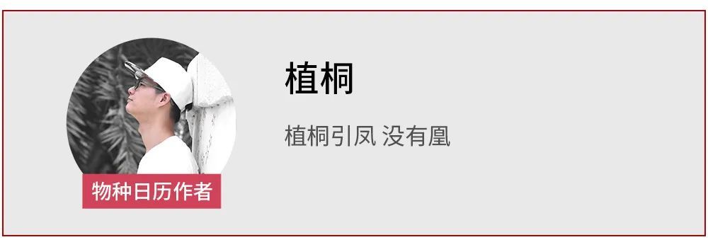 牛蛙|“落叶归根，等待我的却是干锅、酱香和麻辣，呱呱！”