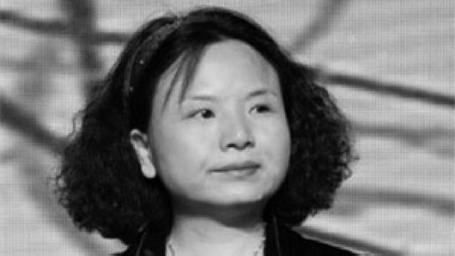 女首善何巧女:给美国捐款90亿，国内负债190亿，结局如何?