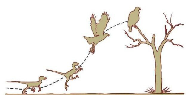 恐龙|新发现：科学家否认广泛流行的恐龙灭绝论！事情或许没那么简单