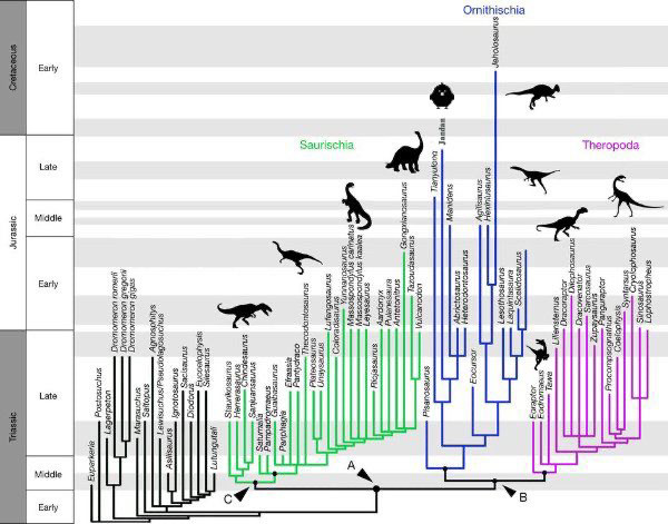 恐龙|新发现：科学家否认广泛流行的恐龙灭绝论！事情或许没那么简单