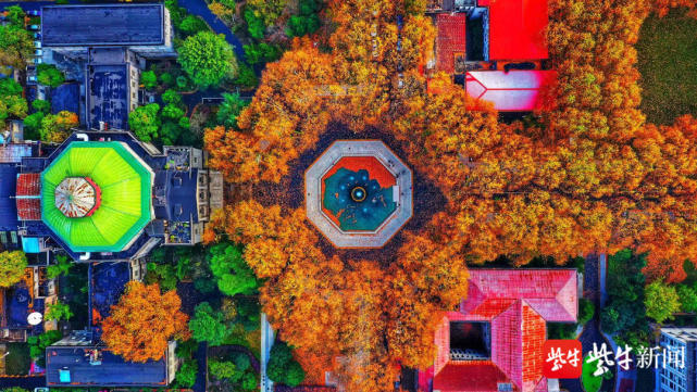 建筑学院单踊教授和汪晓茜副教授通讯员 唐瑭扬子晚报/紫牛新闻记者