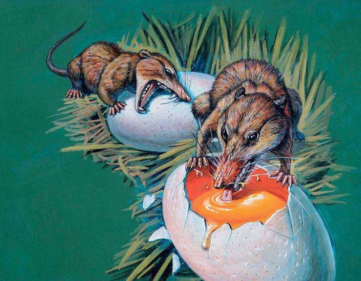 恐龙|新发现：科学家否认广泛流行的恐龙灭绝论！事情或许没那么简单