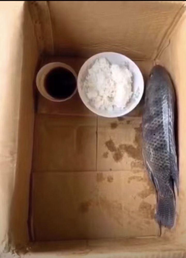 搞笑趣图带着闺女去抓鱼我回去该怎么跟媳妇说呢