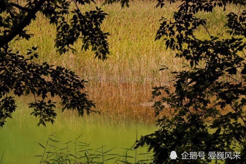 日本的 九寨沟 福岛五色沼 散布在磐梯山麓的色彩斑斓的湖泊 腾讯新闻