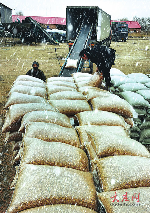 大庆日报记者刘为强摄冰天雪地中,肇州肇源各部门的努力,就这样汇成