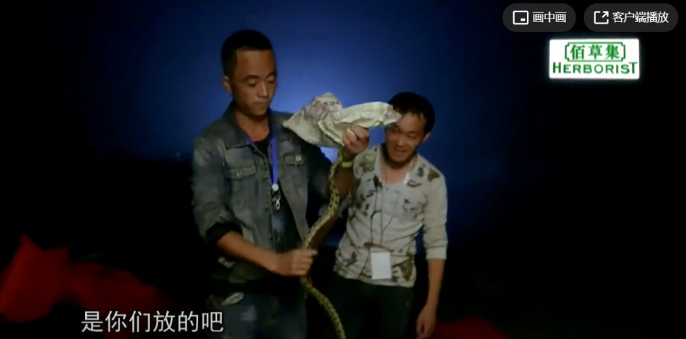 谢楠|两人强势暴躁的人居然能处得这么和谐！谢楠真该出本御夫秘笈