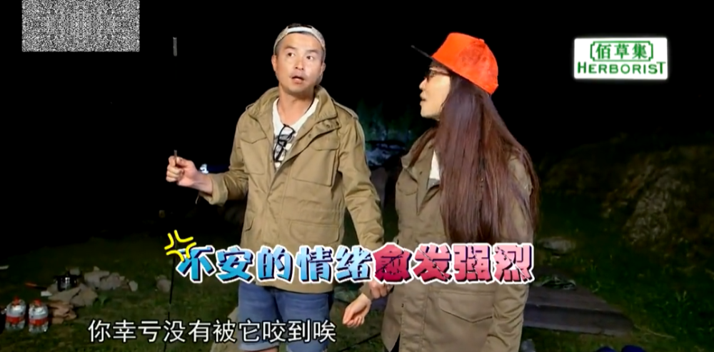 谢楠|两人强势暴躁的人居然能处得这么和谐！谢楠真该出本御夫秘笈