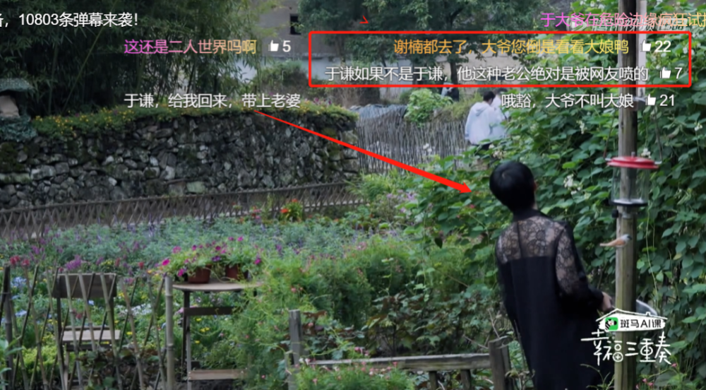 谢楠|两人强势暴躁的人居然能处得这么和谐！谢楠真该出本御夫秘笈