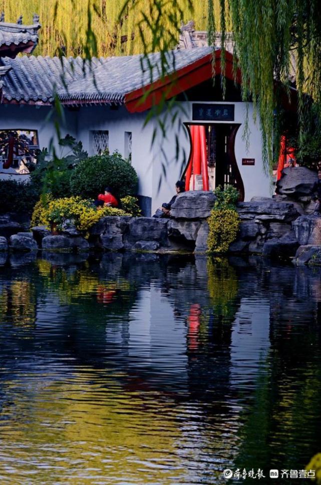情报站|济南的冬天有多美?趵突泉初冬限定美景,请查收!_腾讯新闻
