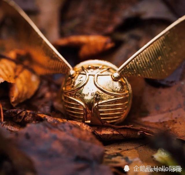 哈利波特关于魁地奇运动最令人困惑的8件事