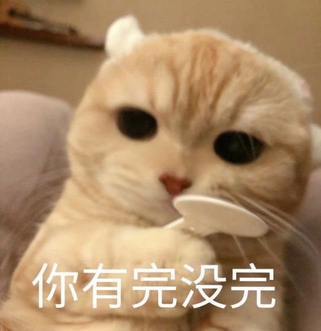 猫猫可爱表情包·冰冷的心没有火花,终将散落尘世|表情包|尘世