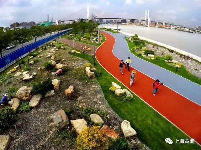 重塑城市客厅!黄浦"一江一河"滨水区体验值up