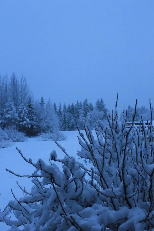 適合冬天下雪發朋友圈的句子