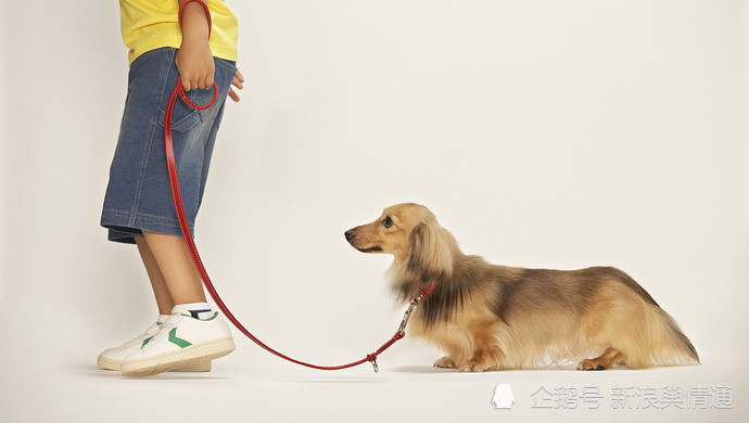 地方政务热点 三地因新规 旧案 惹争议 谁回应后扭转了舆论风向 腾讯新闻