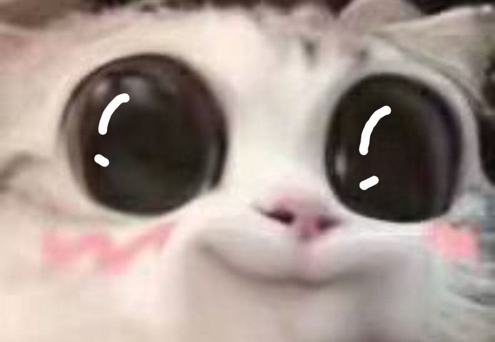 超可爱的沙雕猫咪表情包第三弹