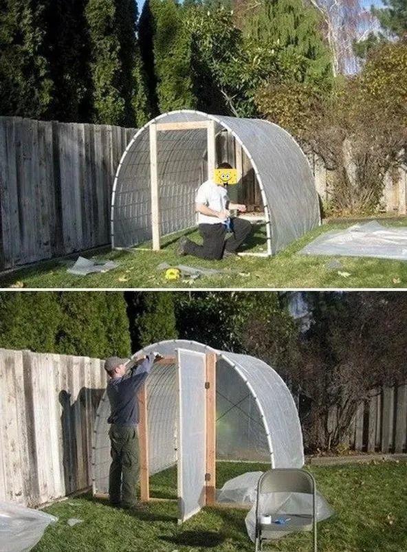 4个防寒潮小妙招,冬天不怕花冻死,轻松养花