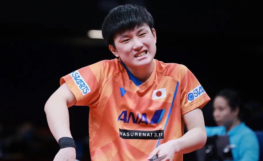 哭也没用 张本石川一轮游遭日球迷抨击 小的没长进 老的该让位 腾讯新闻