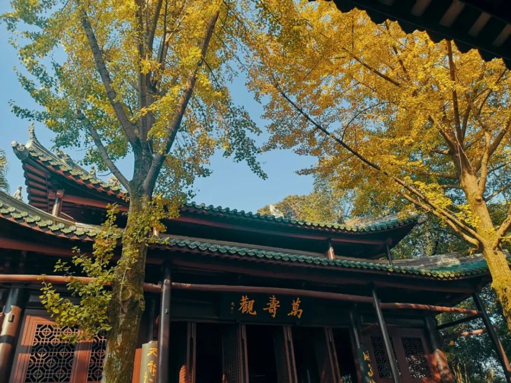 玩转乐山 | 老霄顶,期待下一次再见!