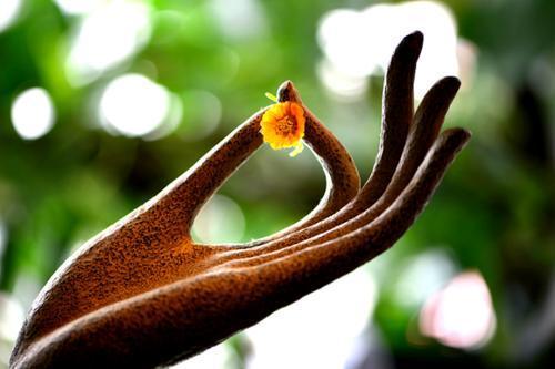 运气测试你喜欢哪只佛手测你今生会有什么福运