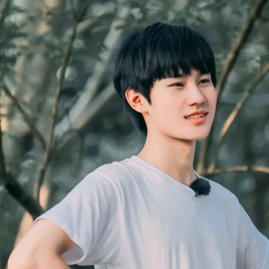 明星头像时代少年团tnt组合头像粉丝留言