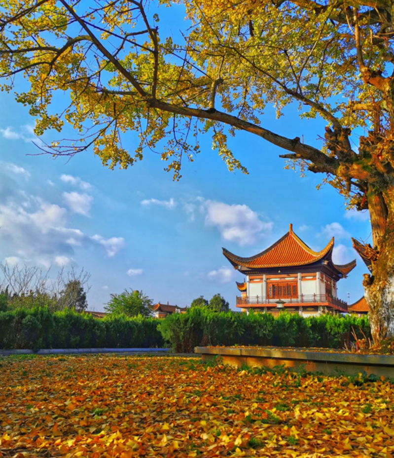 所有宁乡人,这里有一道"填空题"等你来答!_腾讯新闻
