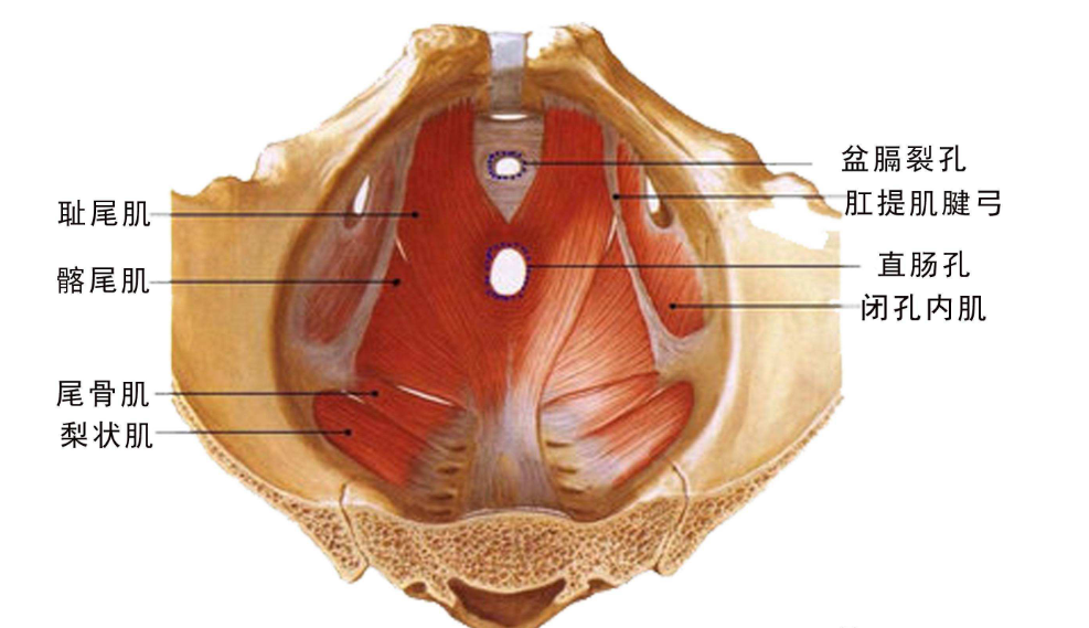 汤唯被吐槽尿频落泪女性心底伤口被当众撕开男人到底有没有心