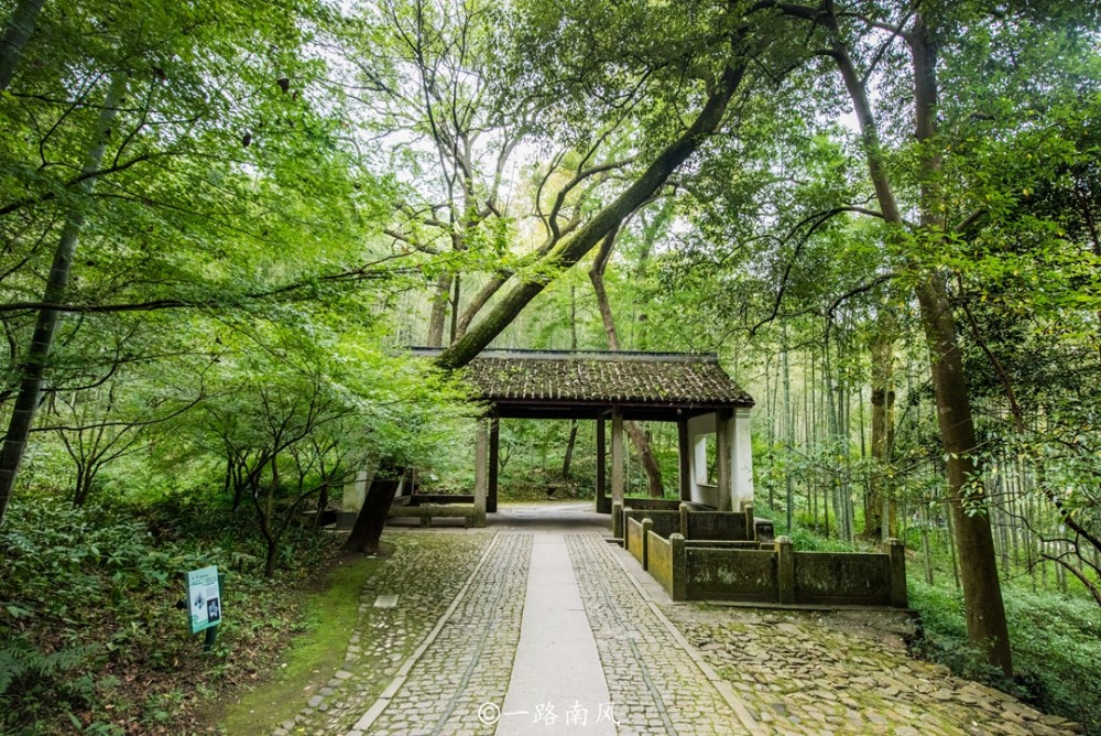 杭州西湖边冷门景区竹子数量全城第一意境幽美游客却不多
