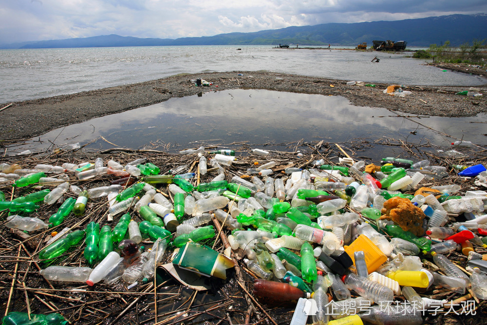 1500萬噸微塑料汙染海底保護海洋生態挽救海洋動物