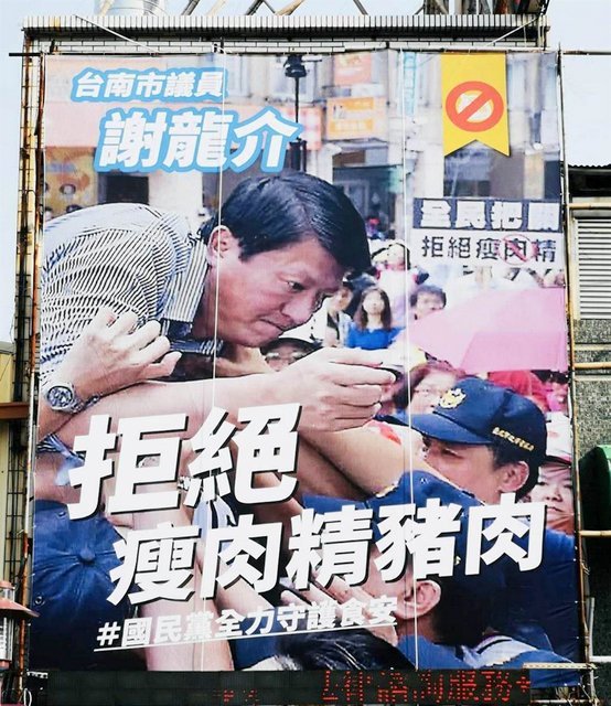 台南蓝军反莱猪看板谢龙介遭警架走照很勇 谢龙介 国民党台南市党部 台南 中国国民党 台湾 庄占魁
