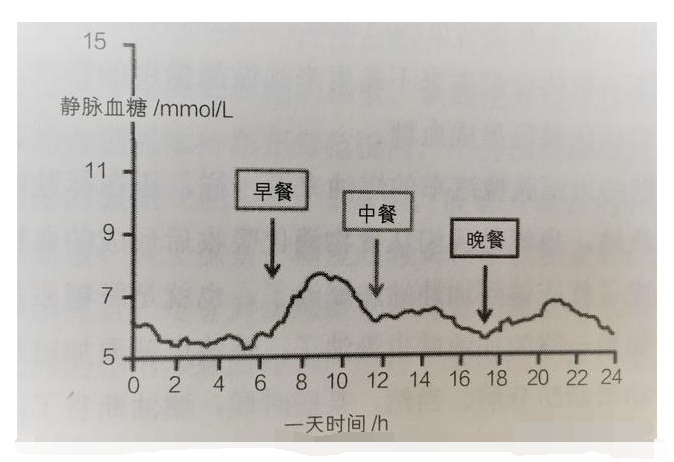 到了早晨,吃過早餐以後,隨著食物被胃腸道消化吸收,血糖逐漸升高,餐後