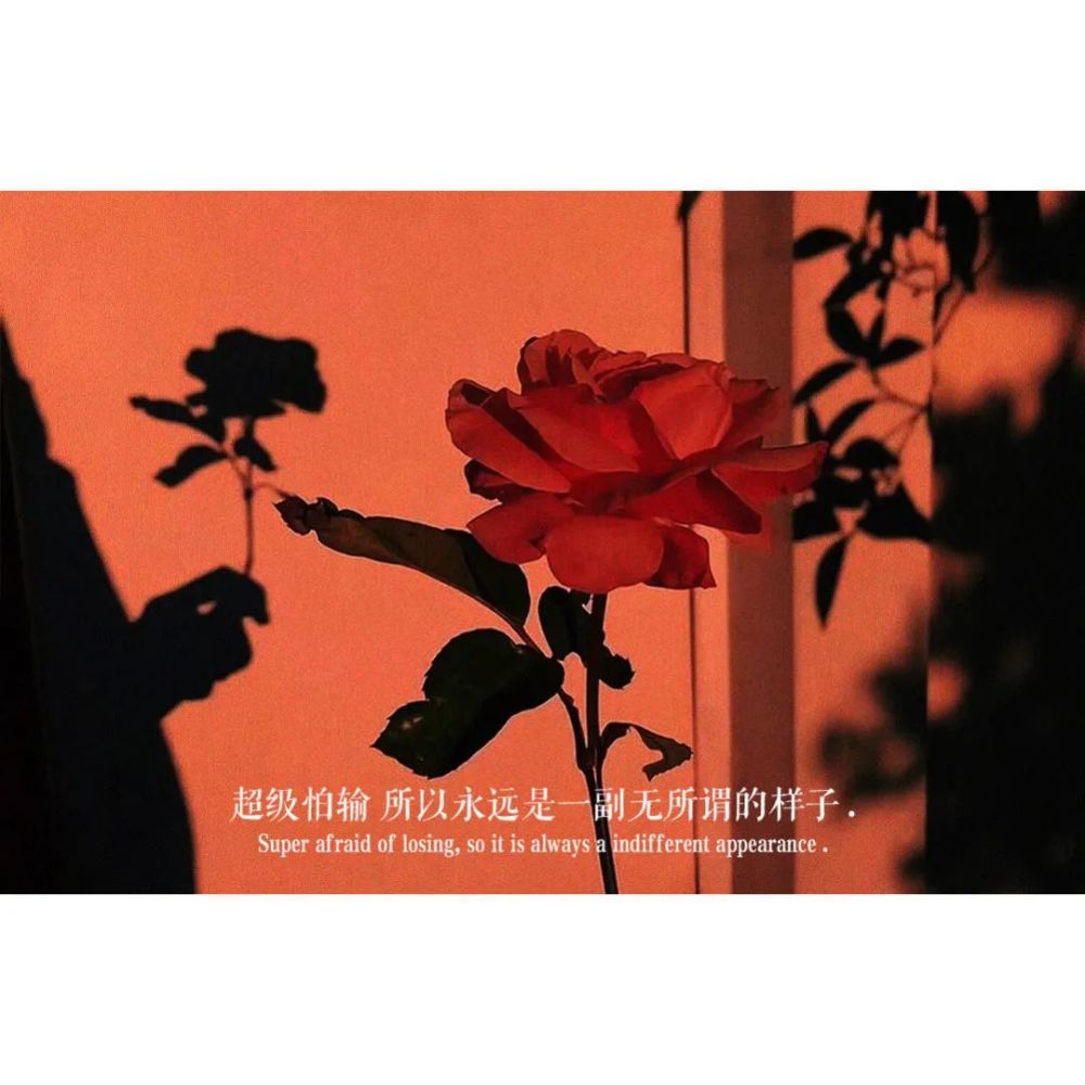 背景图|即使时间流逝,我们也会在一起