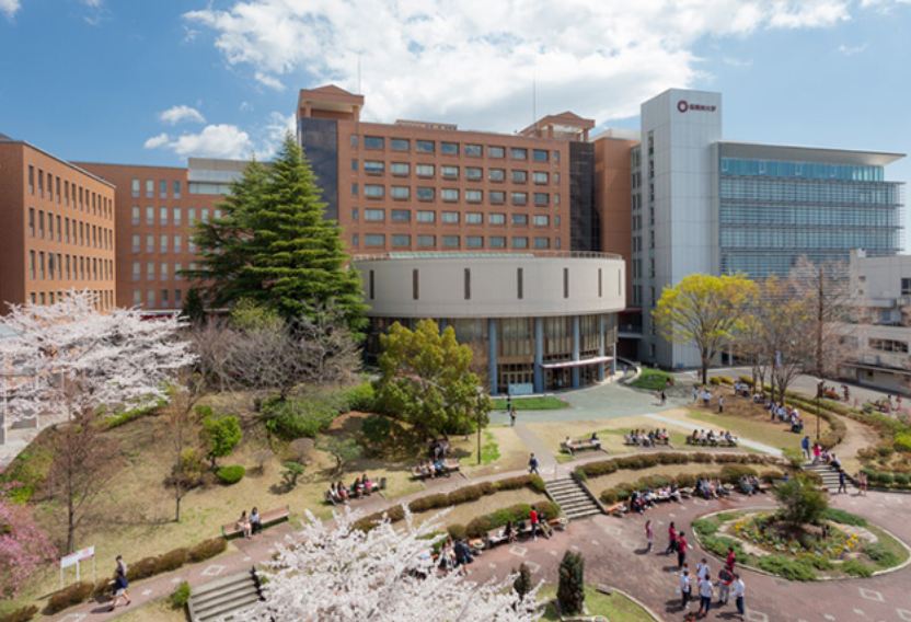 喜报丨还没出国 这些同学已经拿到了帝京 樱美林的合格通知书 腾讯新闻