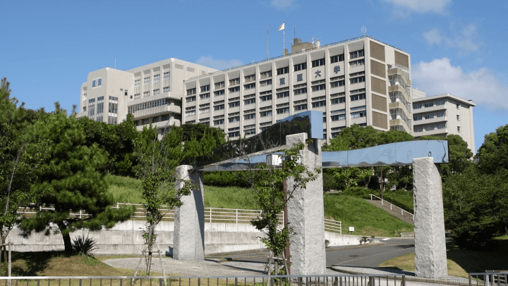 喜报丨还没出国 这些同学已经拿到了帝京 樱美林的合格通知书 腾讯新闻