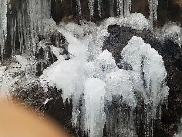 瀑布到了冬天会是什么样子?提前看一下洛阳王府竹海的冰挂奇景