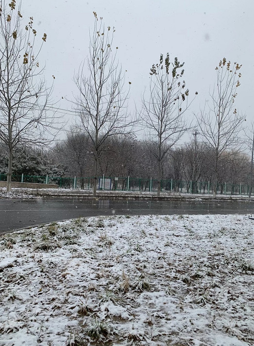 图片来自市民李先生 昌平的雪