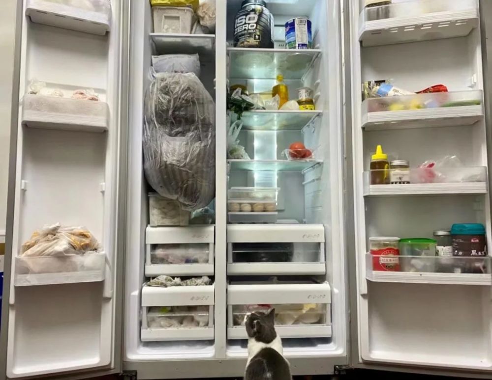 打开独居青年的冰箱 我们发现了被子 猫粮和没想到的秘密 腾讯新闻