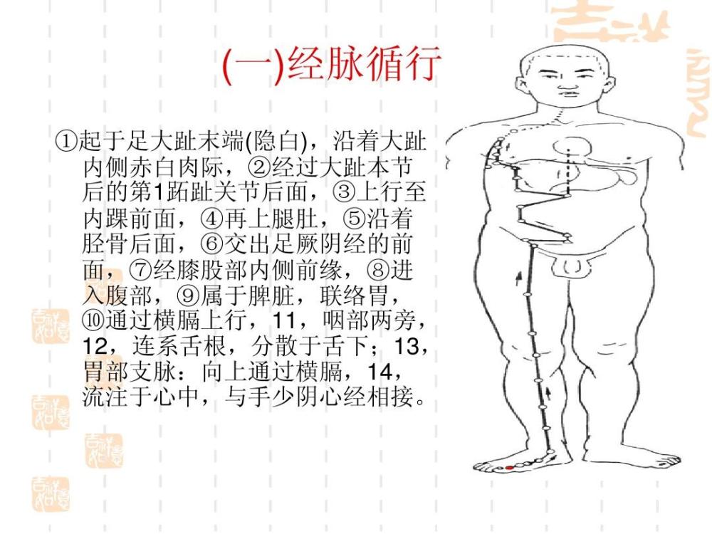 脾肿大的中医论述