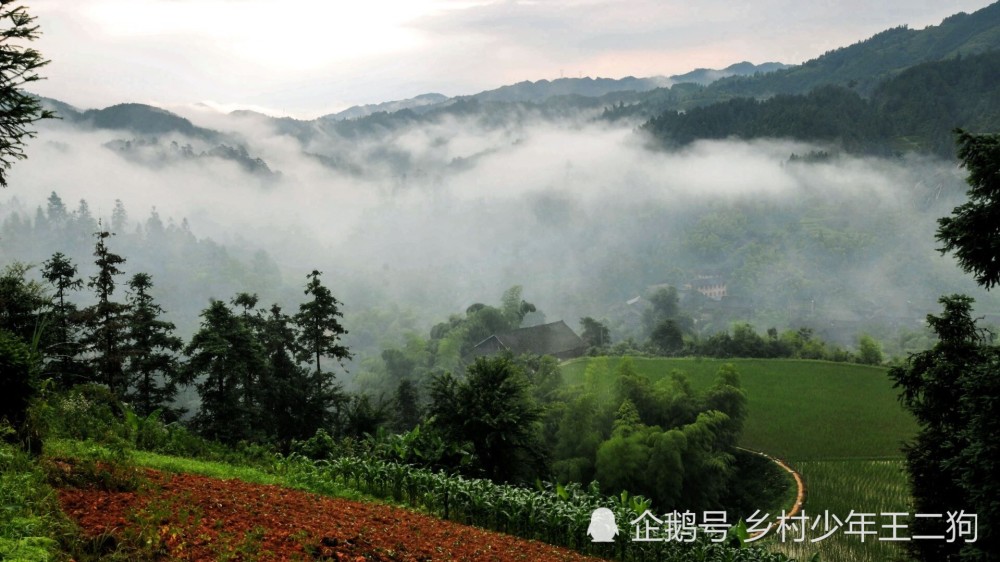 一幅秀美的山水画卷——剑河县敏洞乡沟洞村美丽乡村建设见闻_腾讯