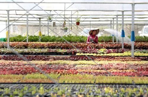 中国人口大县_中国县域人口图鉴:河南百万人口大县最多近百县市人口不足5万