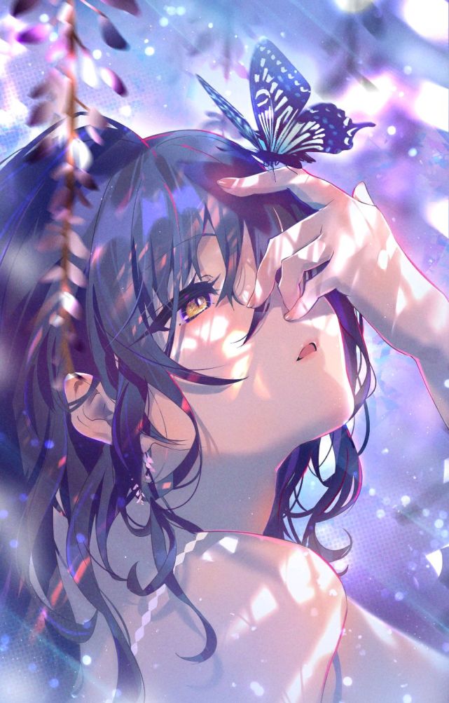 二次元高清美图欣赏224蝴蝶