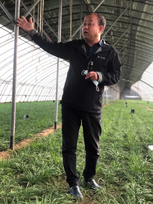 2020武邑高考在河北_2020武邑宏达学校河北省各市招生录取分数线及收费