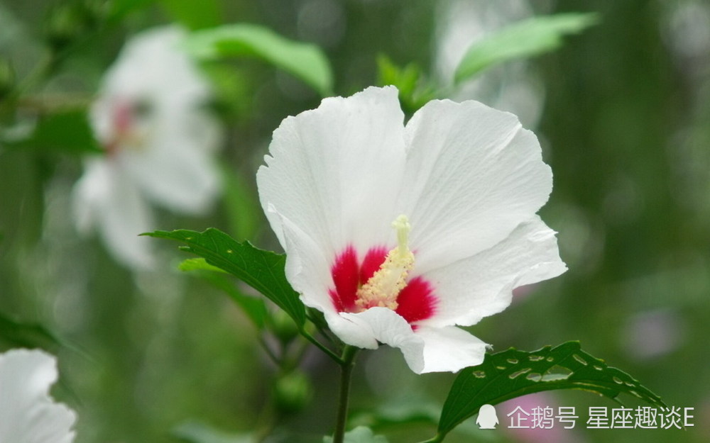 11月22日 28日星座运势 白羊迎接挑战 狮子低调行事 摩羯严于律己 腾讯新闻