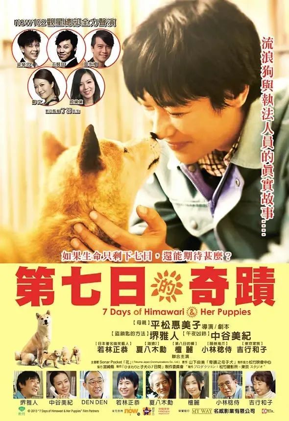 电影 向日葵与幼犬的7天 养狗 就一定要保护它 要养一辈子 腾讯新闻