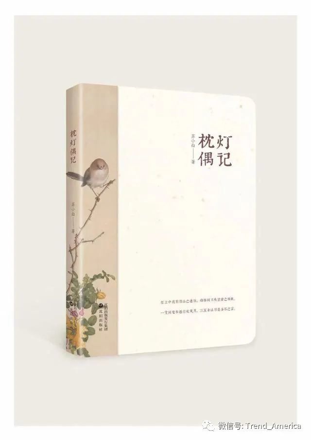 苏小白新著 枕灯偶记 出版 苏小白 枕灯偶记 文学
