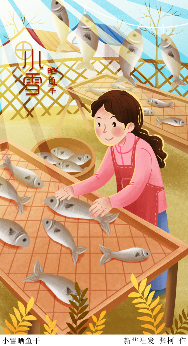 图表插画二十四节气小雪小雪晒鱼干