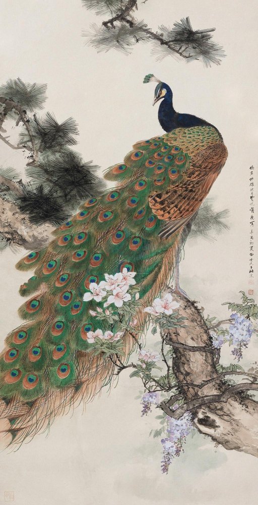 富贵吉祥|田世光笔下的孔雀